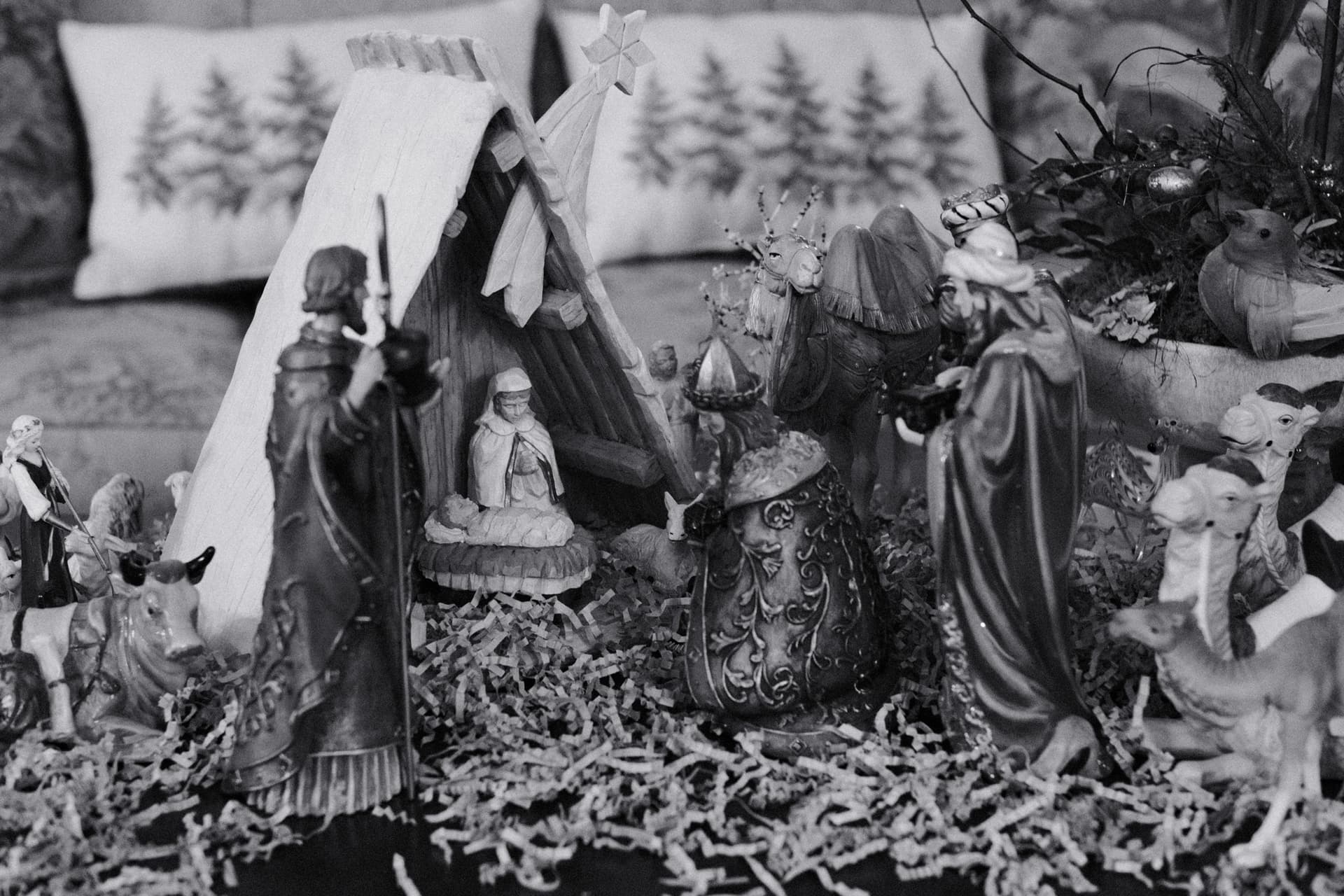 image 5 in the collection